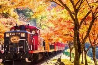 2026.11.14-30京都秋季限定賞楓一日遊：金閣寺&嵐山夜楓點燈&嵯峨野小火車體驗（含票）