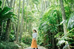 【那霸出發】沖繩中部一日遊：星野度假村&殘波岬&嘉手納展望台&東南植物樂園&永旺商城來客夢一日遊（中文導遊+贈送景點門票+冰淇淋1杯）（每周二・周四・周六發團）