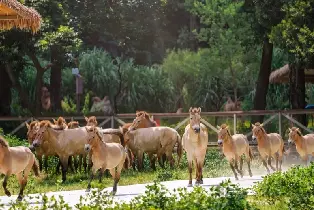 資訊圖片