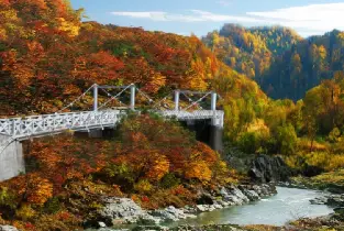【札幌出發】2026北海道十大賞楓之旅二日遊（神居古潭+四季彩之丘+十勝嶽望嶽台+白須瀑布+青池+美瑛神社+黑嶽纜車+銀河·流星瀑布+三國峠+Naita高原牧場）