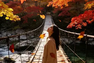 親子遊北海道紅葉！札幌一日團有熊牧場 + 溪谷楓景，大人細路都鍾意