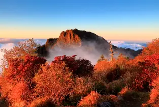 Departure from Busan | Jirisan Autumn Hidden Gem Tour: Forest Trails, Valley Scenery and One-Day Trip to Cheoneunsa Temple