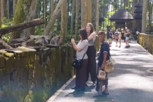 資訊圖片