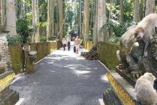 資訊圖片