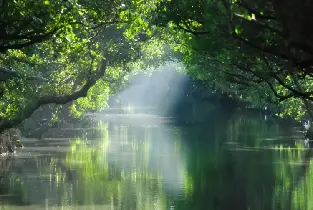 【臺南出行】四草綠色隧道觀光船票