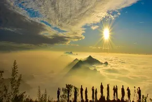 [Departing from Taichung City Hotels] Alishan Forest Recreation Area + Fenchihu One-Day Tour (Excluding Admission Tickets)