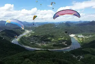 資訊圖片