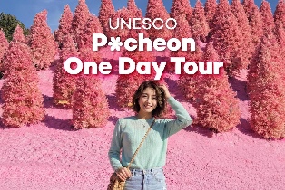 Seoul Departure | Pocheon Highlights Day Tour: Pink Sand Beach, Y-shaped Suspension Bridge & Art Valley