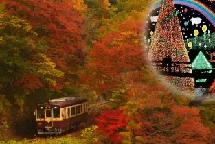 【東京出發】東京近郊賞楓一日遊：渡良瀨溪谷鐵道&高津戶峽&足利花卉公園燈光秀