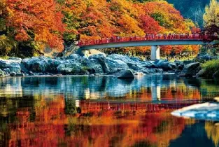 【東京出發】秋葉賞楓兩日遊：香嵐溪峽谷&原四季櫻&龍丹寺&著名賞楓勝地奧尾湖站