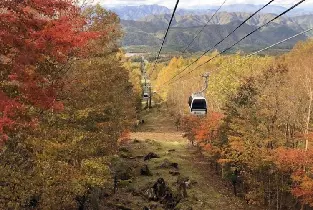 【銀座出發】日本栃木賞楓一日遊：Hunter Mountain獵人山紅葉纜車&紅葉谷大吊橋&鹽原溫泉散策體驗