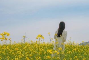 Departing from Seoul | Anseong Flower Festival & Korea's Largest Golden Buddha