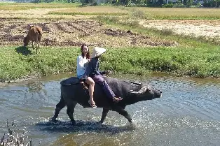 資訊圖片