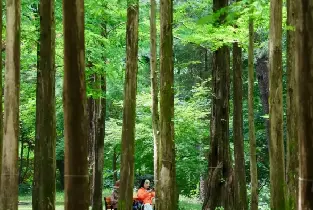 資訊圖片