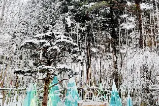 資訊圖片