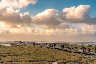 臺中｜生態之旅｜高美濕地、彩虹眷村與宮原眼科半日遊｜交通接駁車直達｜保證出團