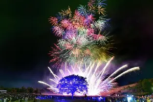 【名古屋出發】2026.10.24長岡煙火萬聖節奇幻之旅二日遊（含花火座席）