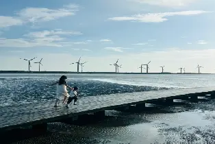 資訊圖片