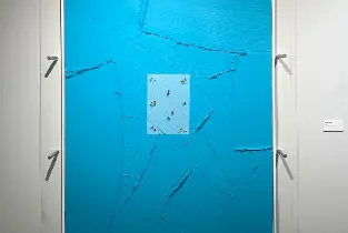 沃納·布倫克霍斯特：《世界是一張帆布釜山展覽票》