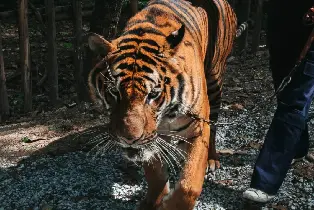 資訊圖片