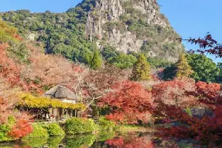 資訊圖片