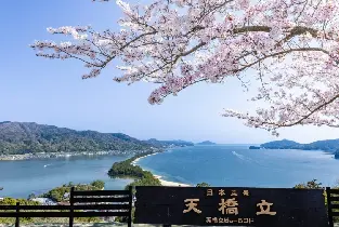 【Osaka Umeda/Kyoto Departure】One-Day Tour of Amanohashidate, One of Japan's Three Scenic Views & Ine Funaya Sightseeing Boat (Daily Departure)