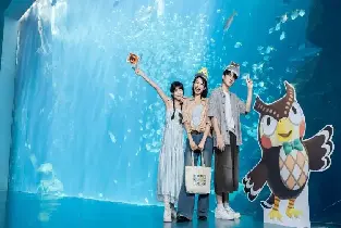【人氣精選】桃園 Xpark 水族館門票｜日系都會型水生公園・親子自由行熱門之選（贈免費停車）