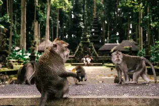 資訊圖片