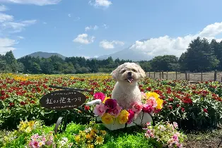 資訊圖片