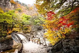 資訊圖片