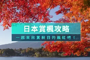 🍁2026日本賞楓Q&A｜常見疑問一次解答
