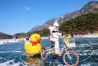 Departure from Seoul | Pocheon Winter One-Day Tour | Strawberry Picking · Sanjeong Lake · Herb Island