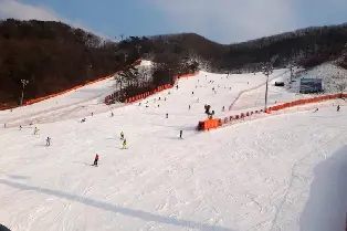 資訊圖片