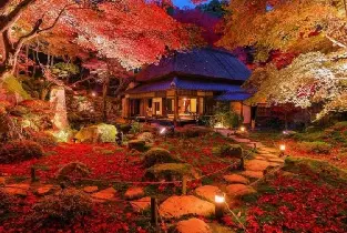 【名古屋出發】養老公園&天川人之神社&天森寶州庵&京林坊寺秋葉燈光之旅（含晚餐）
