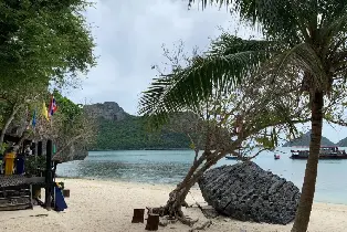 資訊圖片