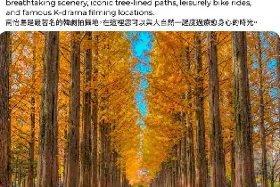 資訊圖片