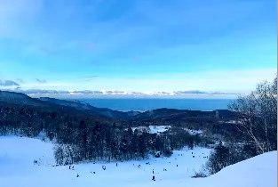 資訊圖片