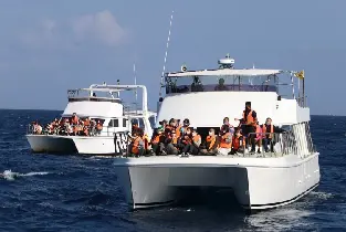 Okinawa Naha Winter Whale Watching: Free Hotel Pick-up at Designated City Locations & Complimentary Experience Photos (Morning Session + Anti-Motion Sickness Package)