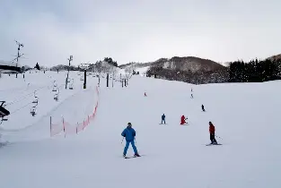 資訊圖片
