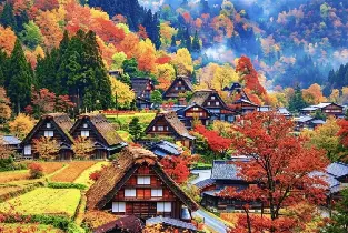 【買一送一】名古屋出發：宮川朝市&日枝神社&高山陣屋&飛驒高山老街&合掌村一日遊