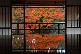 【京都出發】滋賀琵琶湖一日遊：MIHO美秀美術館&舊竹林院or比叡山日吉大社&琵琶湖白須神社