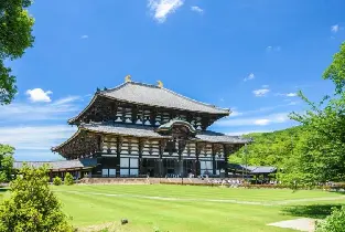 Buy 1 Get 1 Free: Day Tour from Osaka: Fushimi Inari Taisha Thousand Torii Gates & Tenryu-ji & Arashiyama Bamboo Grove & Nara Park Deer Feeding