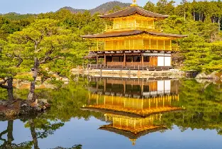 【京都出發】金閣寺&清水寺&伏見稻荷大社&teamLab光影藝術展一日遊