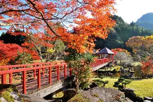 【福岡出發】九重夢大吊橋&九酔渓&渓石園&一目八景紅葉一日遊（中文團）