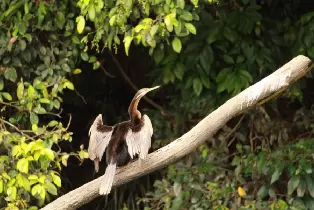 資訊圖片