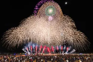 11.21花火甲子園一般區域門票（名古屋）
