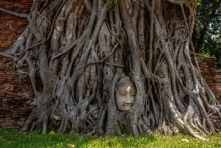 資訊圖片