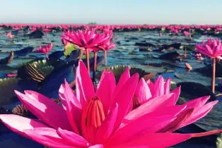 資訊圖片