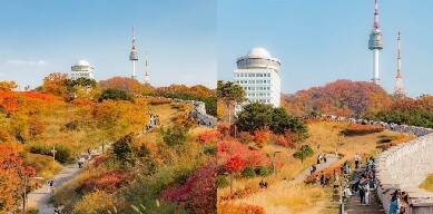 2025年韓國賞楓攻略,首爾釜山熱門賞楓景點等你來