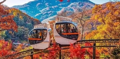 2025最新韓國賞楓攻略(最佳賞楓時間+賞楓必訪景點